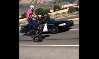 Un motard en roue arrière sur l'autoroute se fait taser par un policier.