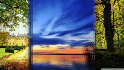 Cánh Chim Hải Âu (Karaoke Beat) - Tone Nữ (Tim)