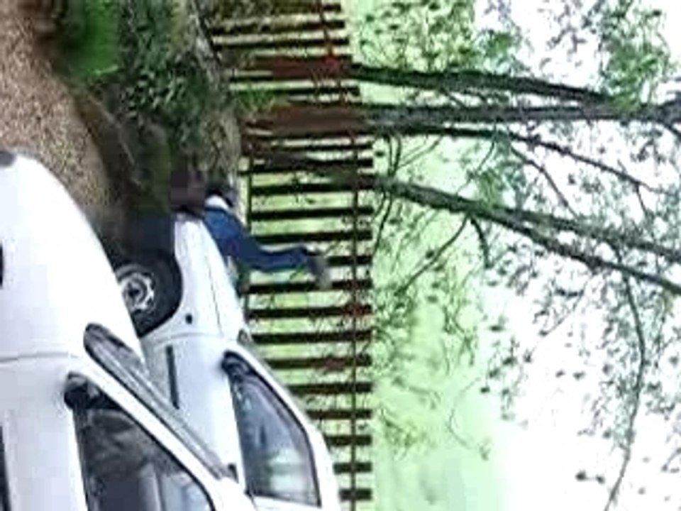 Polo le cascadeur