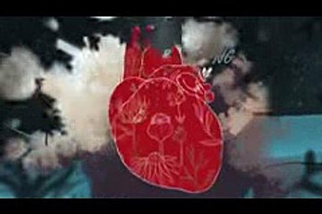 P!nk - Whatever You Want (Lyric Video) e