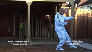 60 Wing chun lessons, by Michael Wong Lessons, lesson 003