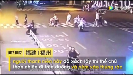 Cư dân mạng phẫn nộ trước cảnh tượng nam thanh dùng cung tên bắn chết chó ở Trung Quốc