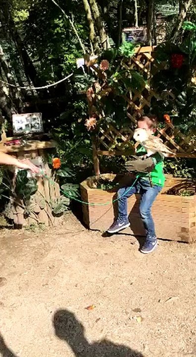 MONDE SAUVAGE SAMI ET LE HIBOU