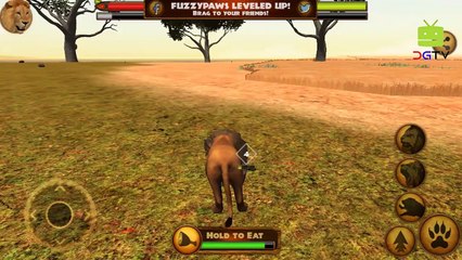 Ultimate Lion Simulator Android / iOS Gameplay [HD]