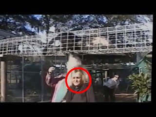 تصرفات جد ذكية لحيونات اليفة مدهشة و طريفة للغاية