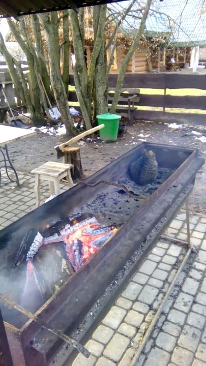 Ce chat se réchauffe... Dans le barbecue!