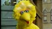 Sesame Street - Big Bird Wants a New Name (Part 1)