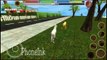 Stray Dog Simulator By Gluten Free Games - Android & iOS - Gameplay Part 1