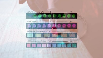 Voici les tatouages du futur