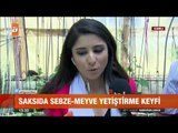 Evde sebze - meyve nasıl yetiştirilir? - atv Gün Ortası