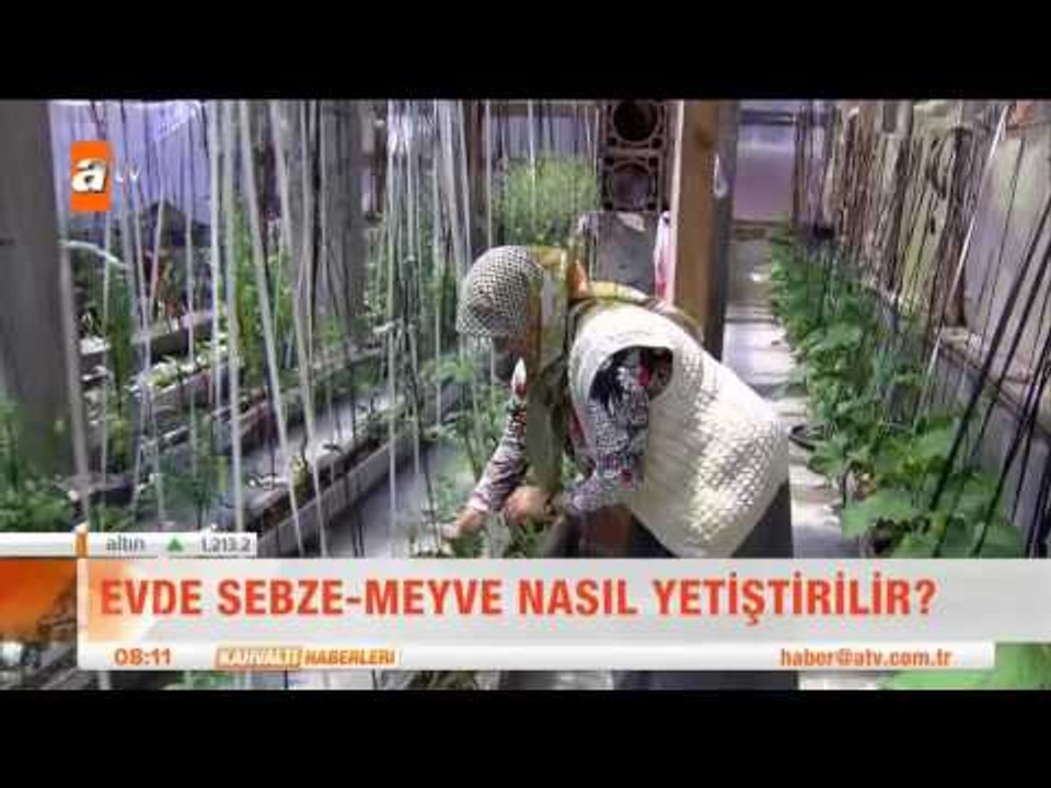 Evde sebze -  meyve nasıl yetiştirilir? - Kahvaltı Haberleri