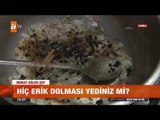 Hiç erik dolması yediniz mi? - atv Gün Ortası