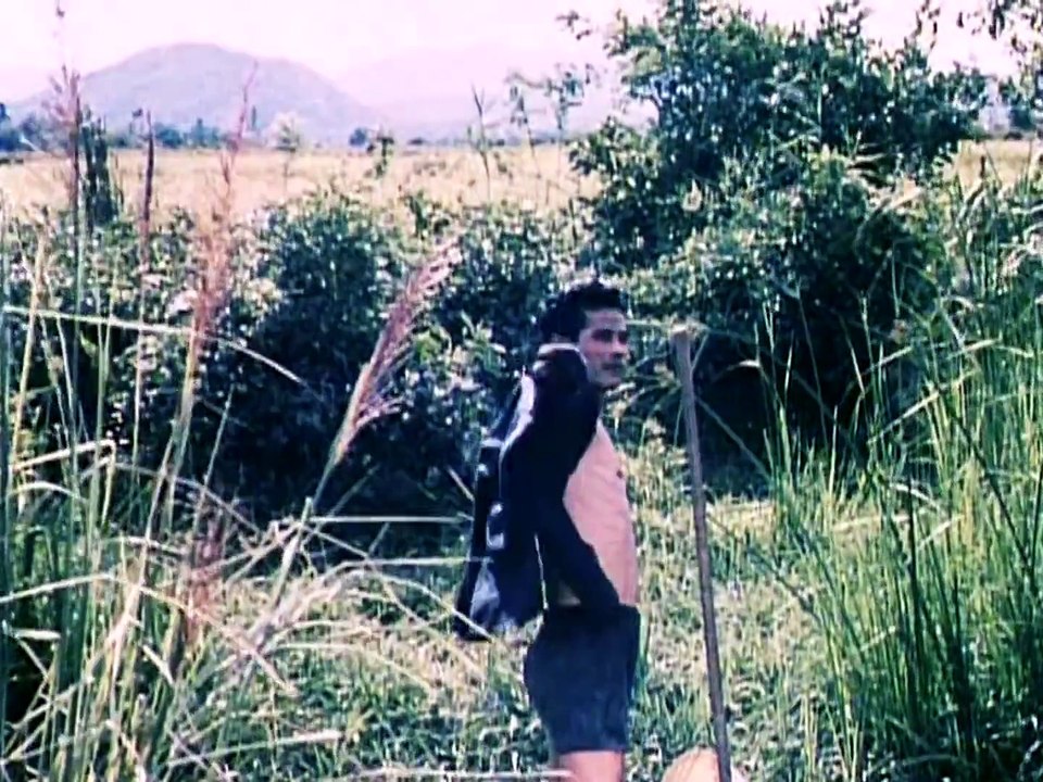 The Fight for Vietnam 1963; Vietnam War