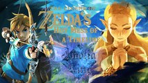 Breathing in All the Wild Timeline Theories | Another Look at Zelda Breath of the Wild!