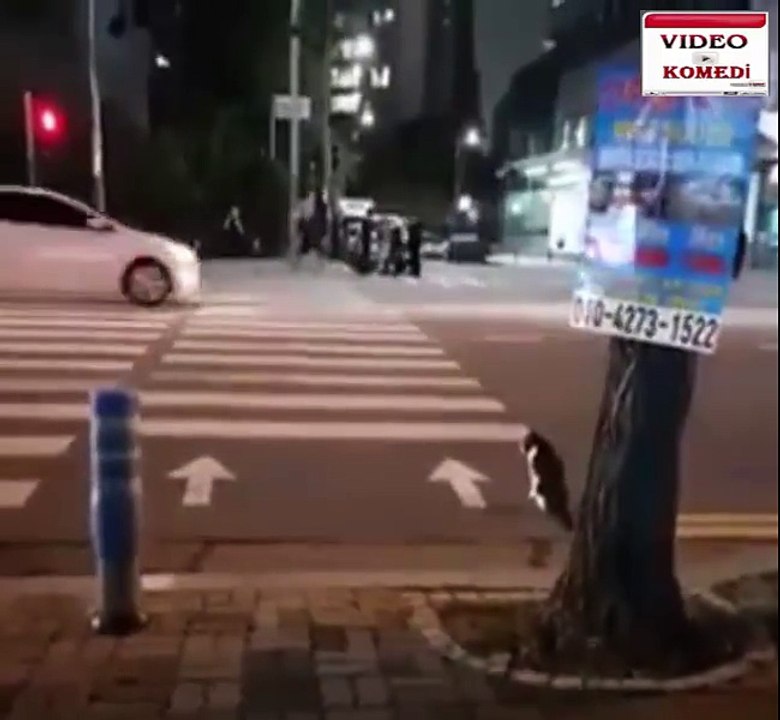 akıllı yavruşum benim