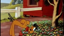 Best full episodes  Donald duck &friends