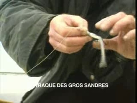 La traque des gros Sandres