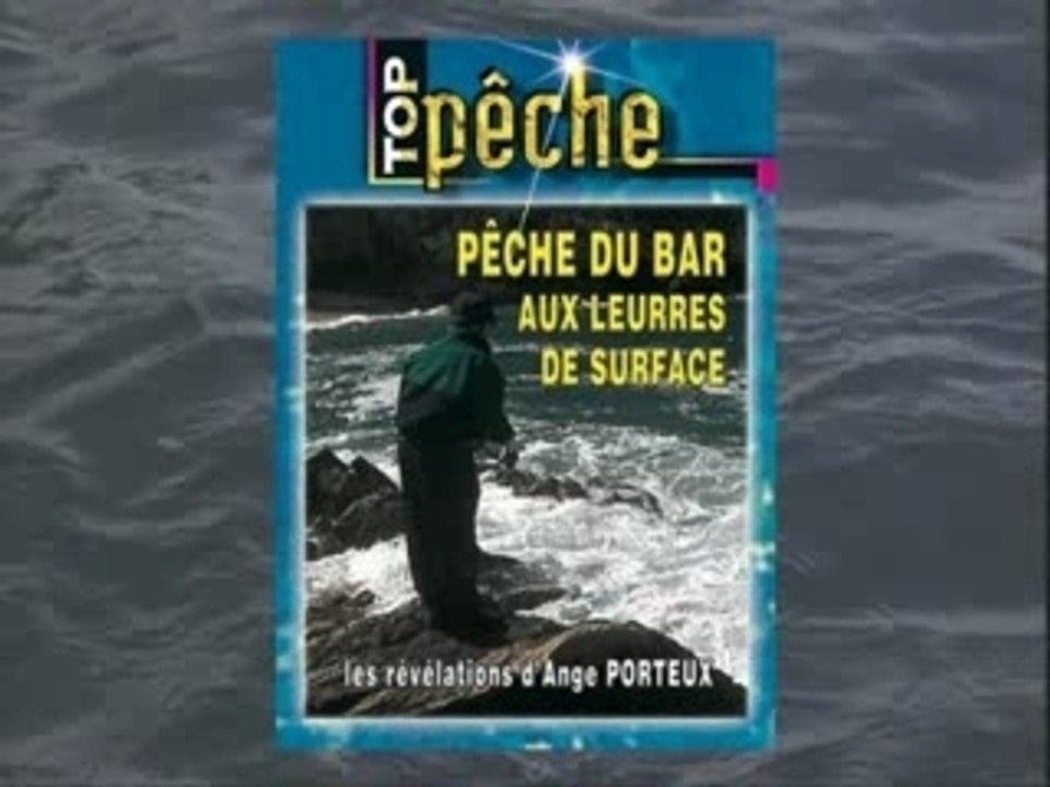 Pêche du bar aux leurres de surface