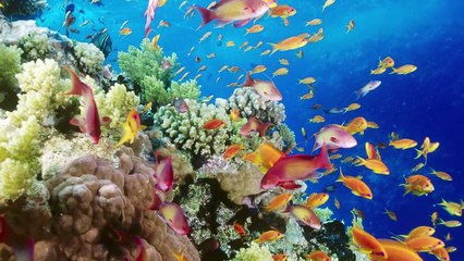 The DEADLIEST & Most HAUNTED Islands In The World