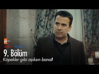 Köpekler gibi aşıksın bana! - Aşk ve Mavi 9. Bölüm - atv
