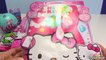 Hello Kitty Secret Key Password Diary and Surprises
