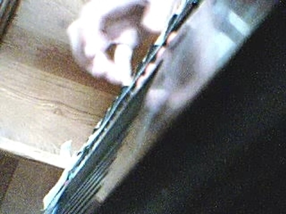 Video 80