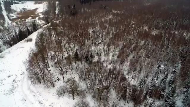 Охота с квадрокоптера. Охота с воздуха на Лося.