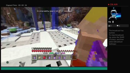 Minecraft survival adventure (271)