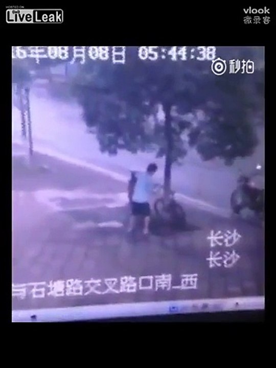 Chinese cut down the tree to steal bike