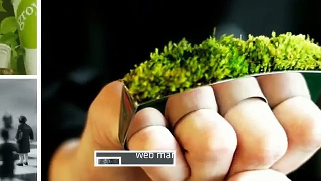 Pushleads - Affordable Small Business SEO Services