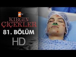 Kırgın Çiçekler 81. Bölüm - atv