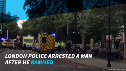 London's Natural History Museum crash not 'terror-related'