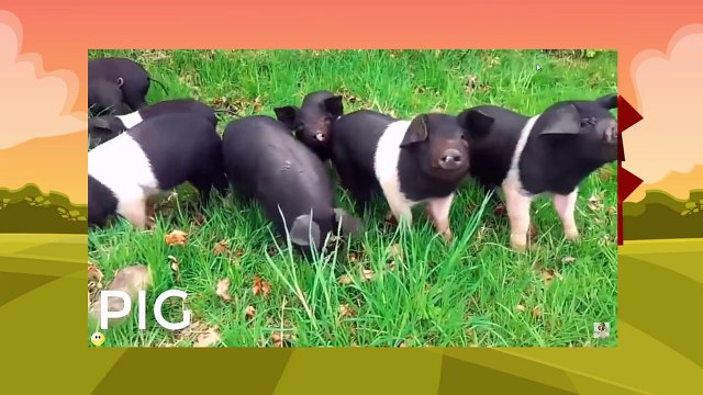 Learn Colors With Animals For Kids _ Learn Farm Animals Name _ Farm Animals and Learn Colors