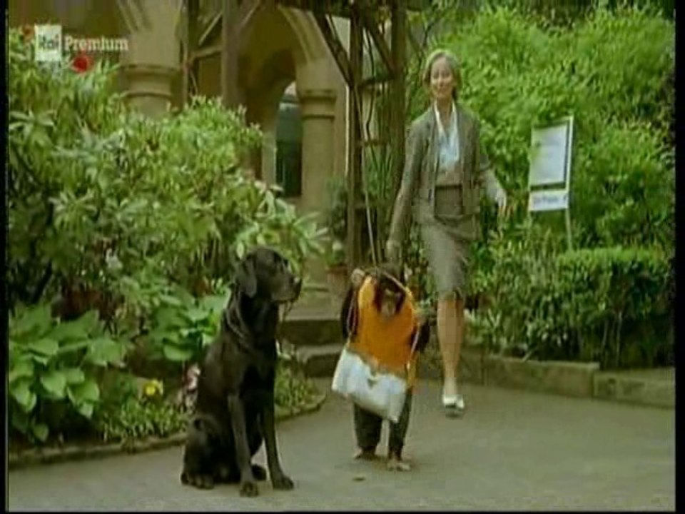 Il nostro amico Charly 12x05 - Chi la fa, l’aspetti