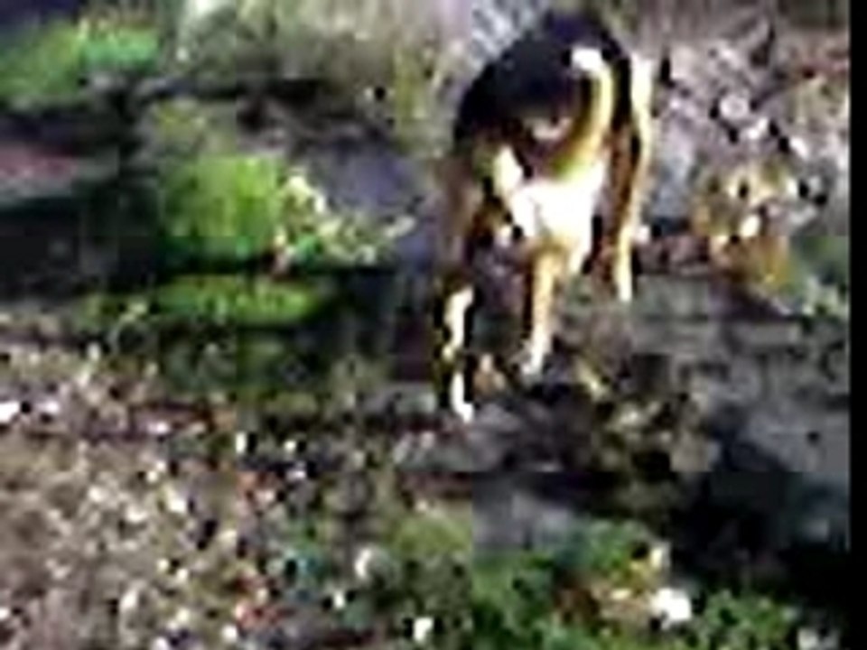 Sur la route de chez moi ( 1 )