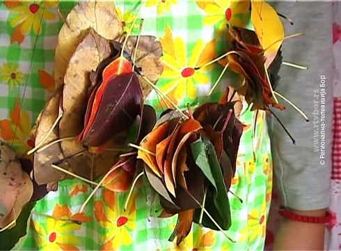 Decja nedelja u Boljevcu , 8. oktobar 2017 (RTV Bor)