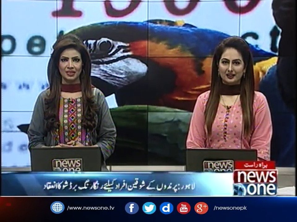 Bird show in Lahore