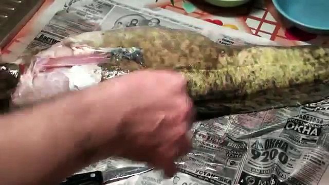 Как разделать налима Как разделать налима