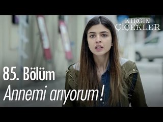 Dilenci değilim, annemi arıyorum! - Kırgın Çiçekler 85. Bölüm - atv