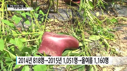 불볕더위에 응급실 간 온열 환자 급증 / YTN (Yes! Top News)