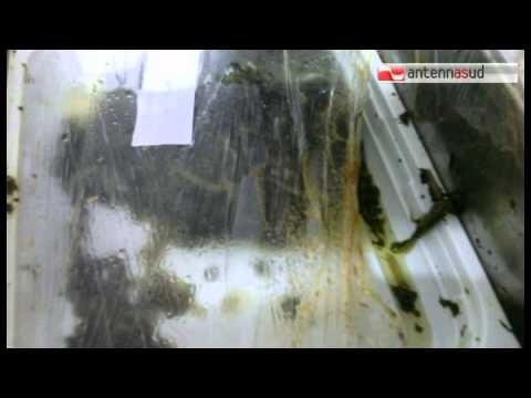 TG 23.01.15 Mense chiuse a Brindisi, sigilli al centro cottura per irregolarità urbanistiche