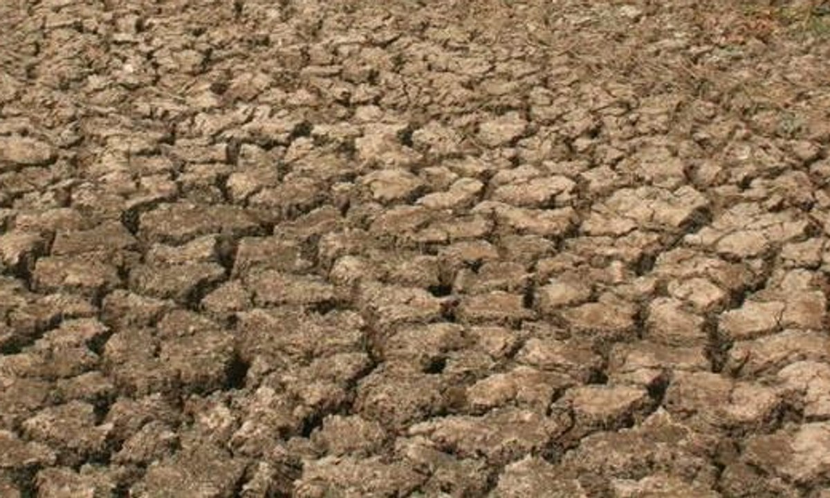 Musim Kemarau, Warga Ambil Air di Bukit yang Tandus