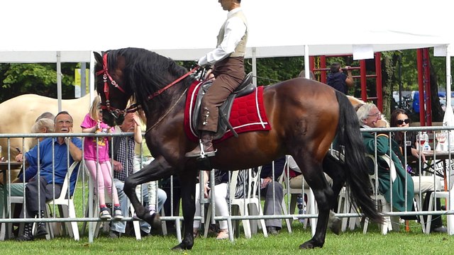 Bon Secours 2017 - 7