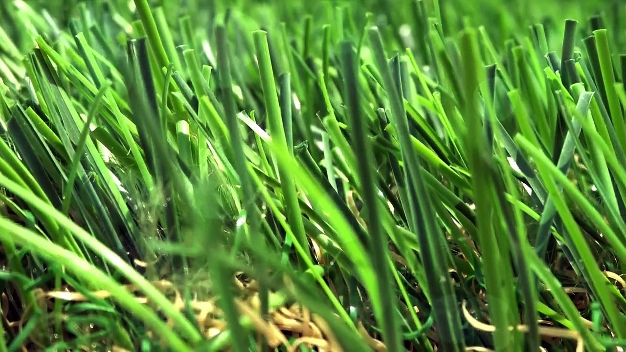 Direct Artificial Grass product video