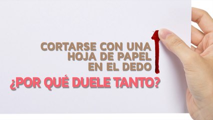 ¿Por qué duele tanto cortarse con una hoja de papel en el dedo?