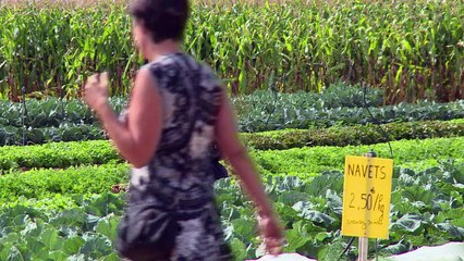 Les circuits-courts ont la côte chez les consommateurs