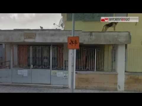 TG 26.11.14 Chiuse per derattizzazione due primarie, a Lecce e Brindisi