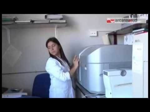 TG 28.11.14 Vaccino killer? Si teme la psicosi