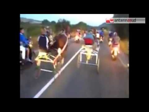 TG 09.12.14 Corse clandestine di cavalli, boss assolti a Lecce