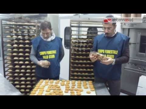 TG 23.12.14 Operazione Natale a tavola , 60 tonnellate di cibo sequestrate dal CFS